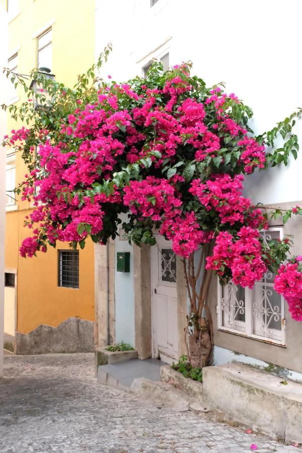 Proa D'alfama Lejlighed *