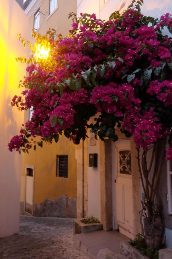 Lejlighed Proa D'alfama